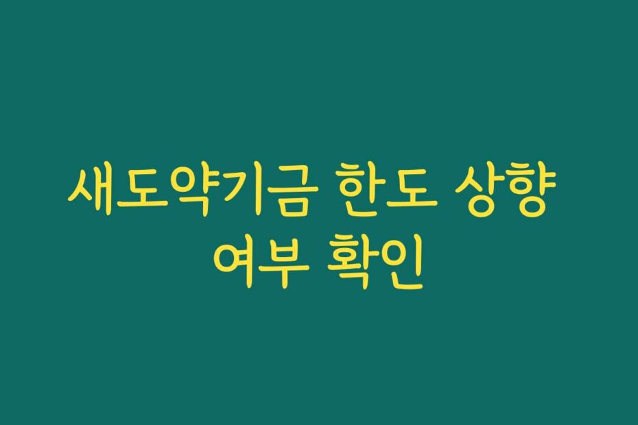 새도약기금 한도 상향 여부 확인