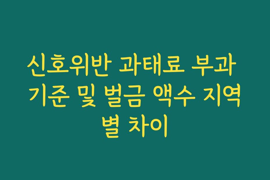신호위반 과태료 부과 기준 및 벌금 액수 지역별 차이