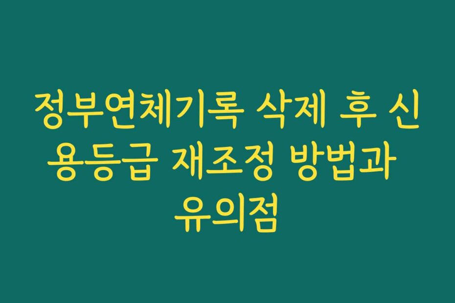 정부연체기록 삭제 후 신용등급 재조정 방법과 유의점