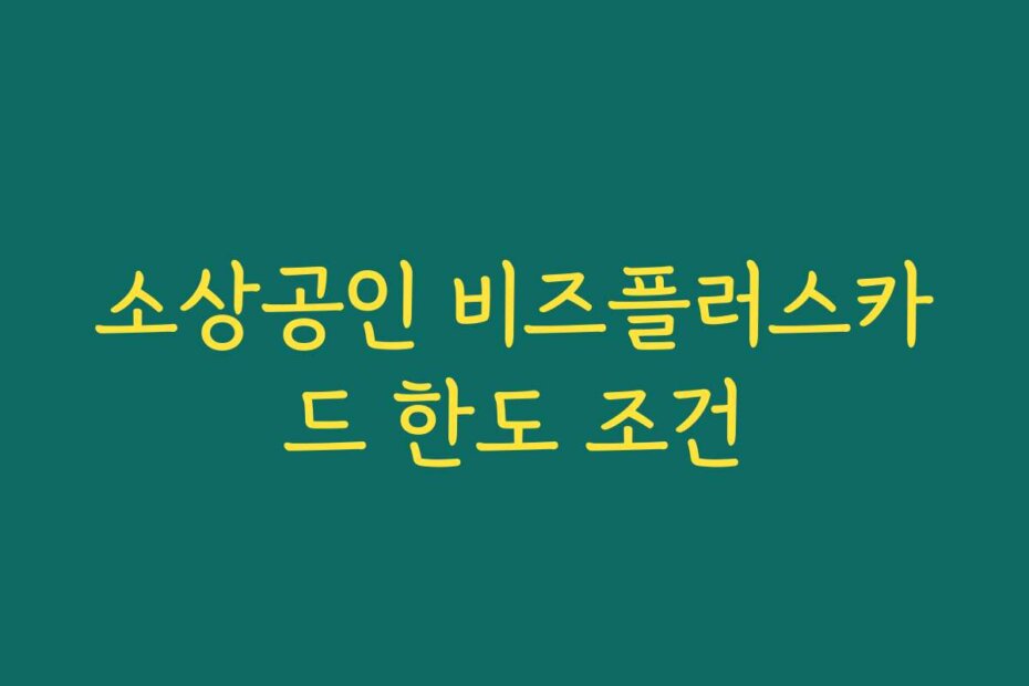 소상공인 비즈플러스카드 한도 조건