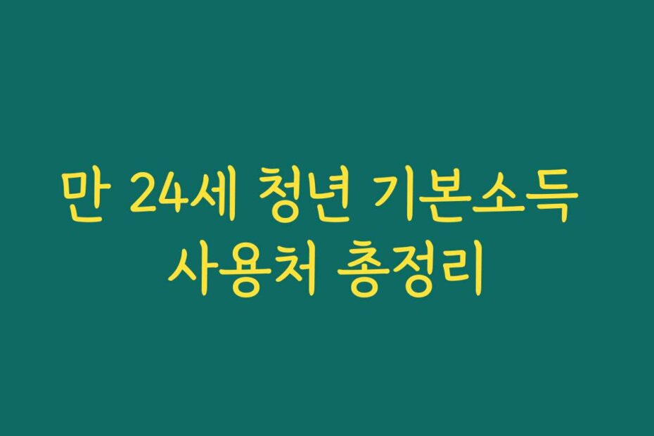 만 24세 청년 기본소득 사용처 총정리