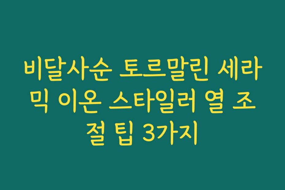 비달사순 토르말린 세라믹 이온 스타일러 열 조절 팁 3가지