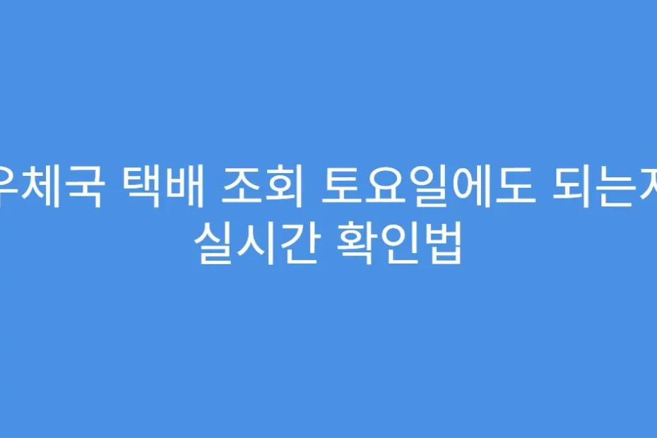 우체국 택배 조회 토요일에도 되는지 실시간 확인법