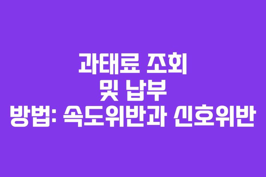 과태료 조회 및 납부 방법: 속도위반과 신호위반