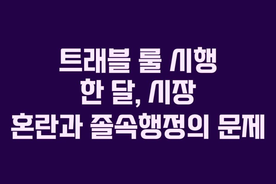 트래블 룰 시행 한 달, 시장 혼란과 졸속행정의 문제