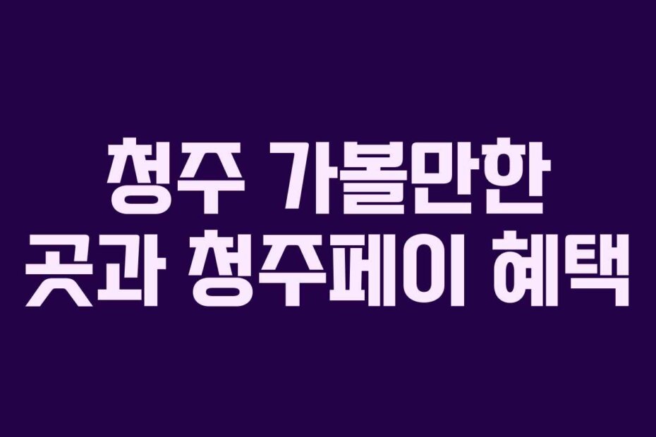 청주 가볼만한 곳과 청주페이 혜택