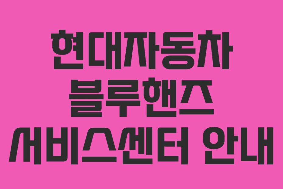 현대자동차 블루핸즈 서비스센터 안내