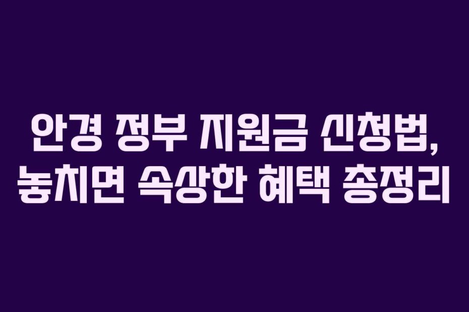 안경 정부 지원금 신청법, 놓치면 속상한 혜택 총정리