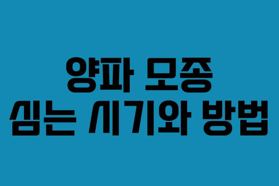 양파 모종 심는 시기와 방법