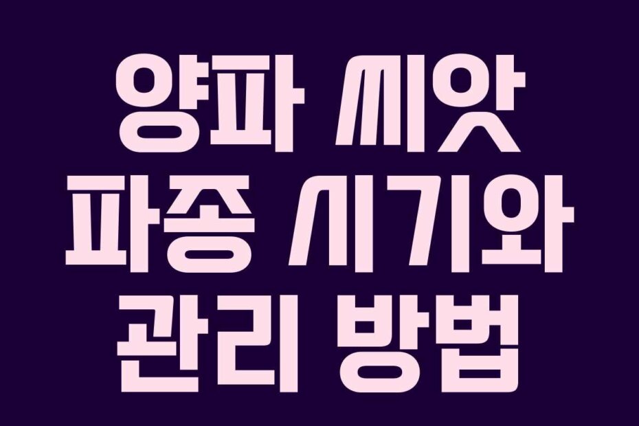양파 씨앗 파종 시기와 관리 방법 양파 씨앗 파종 시기와 관리 방법