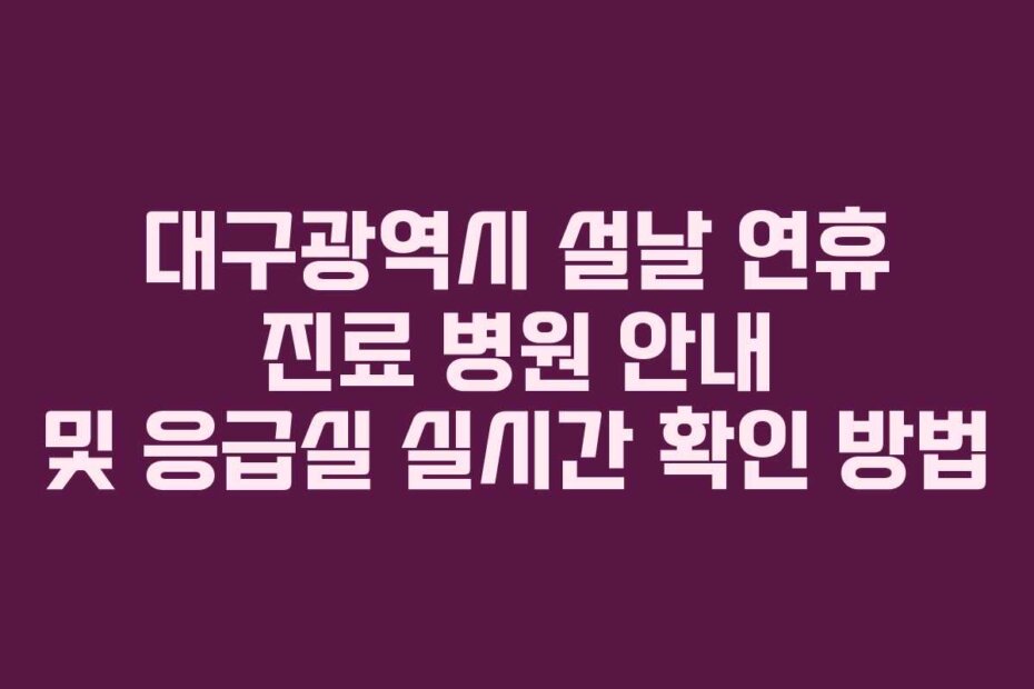 대구광역시 설날 연휴 진료 병원 안내 및 응급실 실시간 확인 방법