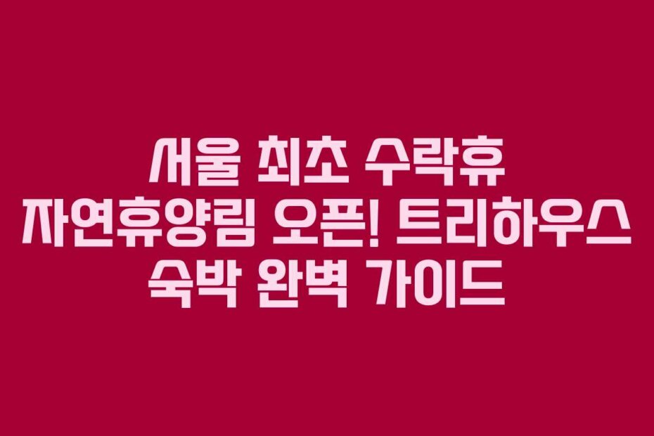 서울 최초 수락휴 자연휴양림 오픈! 트리하우스 숙박 완벽 가이드