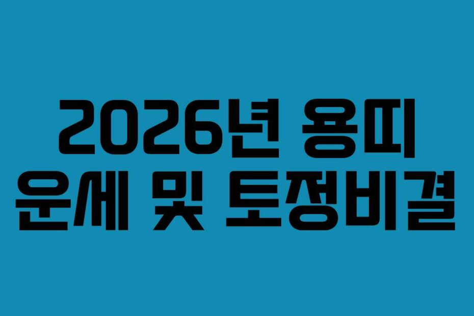 2026년 용띠 운세 및 토정비결