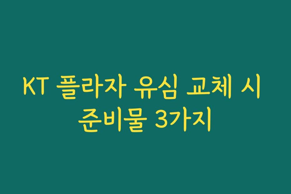 KT 플라자 유심 교체 시 준비물 3가지
