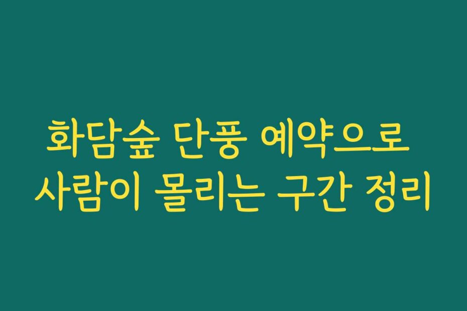 화담숲 단풍 예약으로 사람이 몰리는 구간 정리
