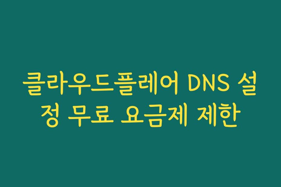클라우드플레어 DNS 설정 무료 요금제 제한