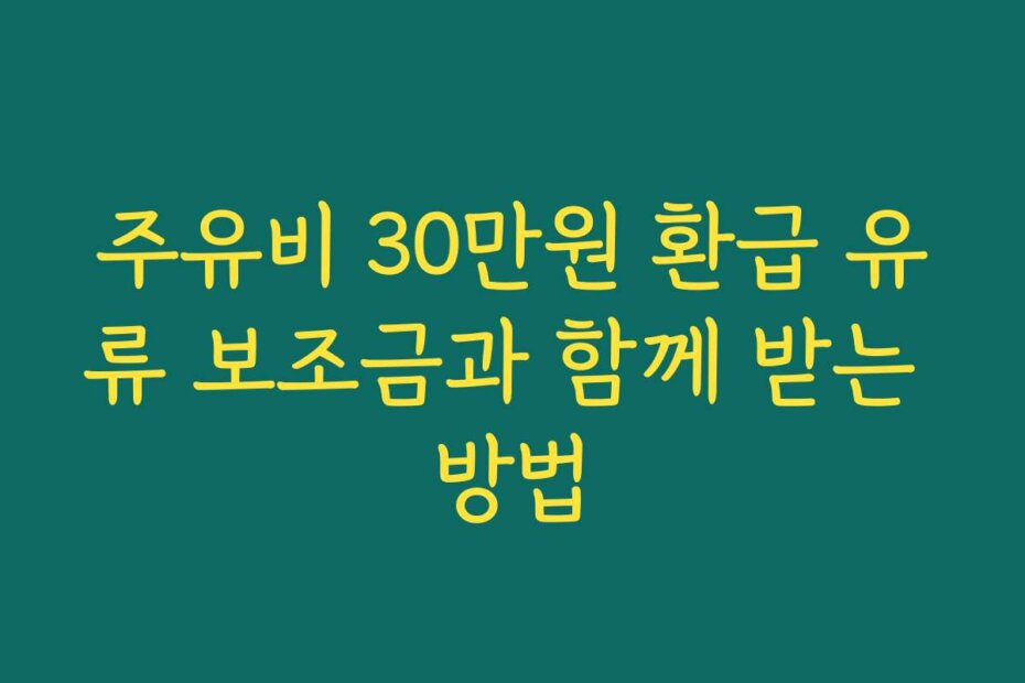 주유비 30만원 환급 유류 보조금과 함께 받는 방법