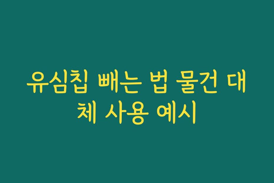 유심칩 빼는 법 물건 대체 사용 예시