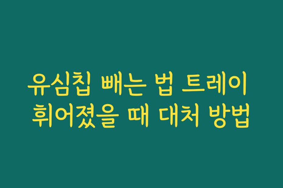 유심칩 빼는 법 트레이 휘어졌을 때 대처 방법