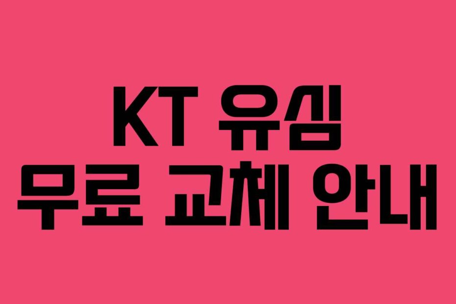 KT 유심 무료 교체 안내