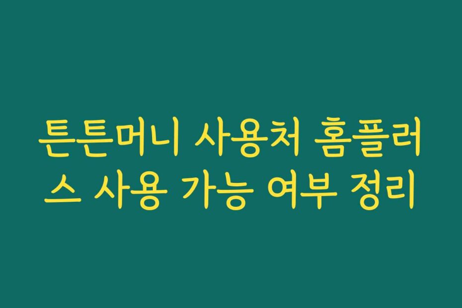 튼튼머니 사용처 홈플러스 사용 가능 여부 정리
