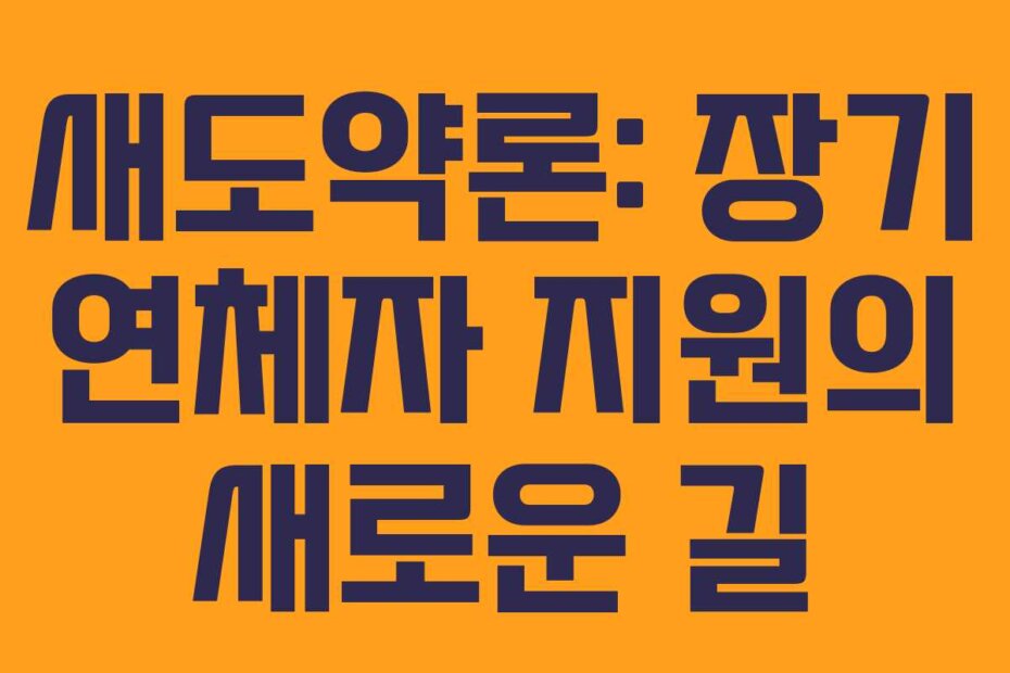 새도약론: 장기 연체자 지원의 새로운 길