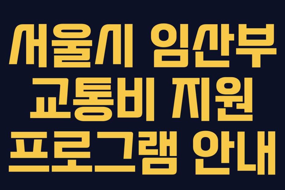 서울시 임산부 교통비 지원 프로그램 안내