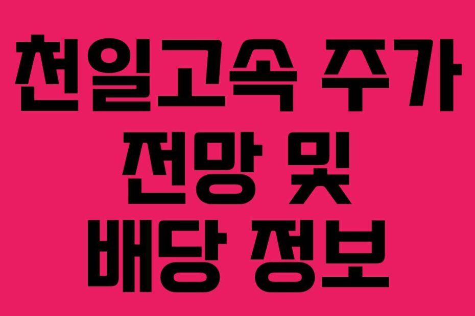 천일고속 주가 전망 및 배당 정보