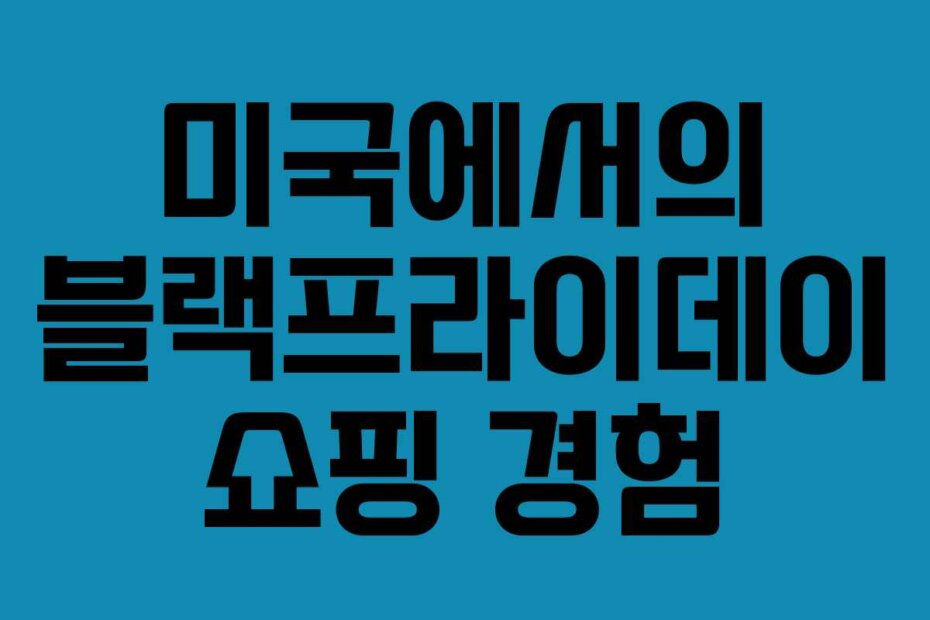 미국에서의 블랙프라이데이 쇼핑 경험