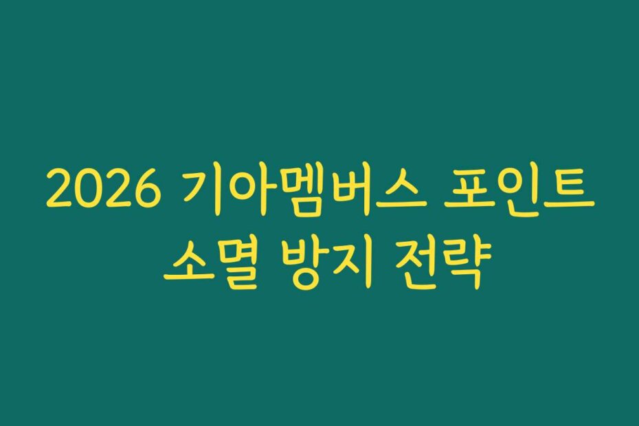 2026 기아멤버스 포인트 소멸 방지 전략