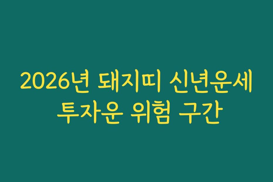 2026년 돼지띠 신년운세 투자운 위험 구간