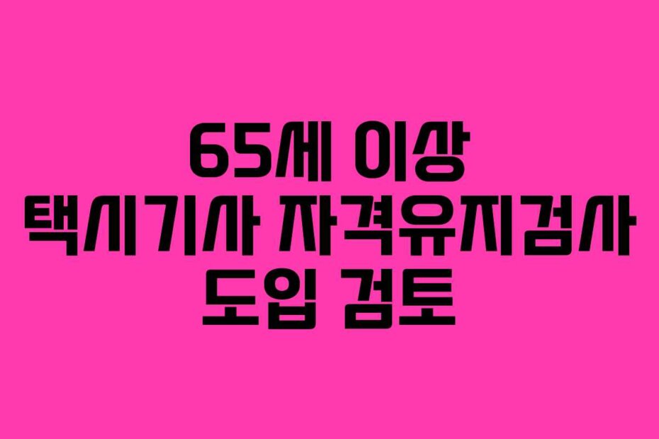 65세 이상 택시기사 자격유지검사 도입 검토
