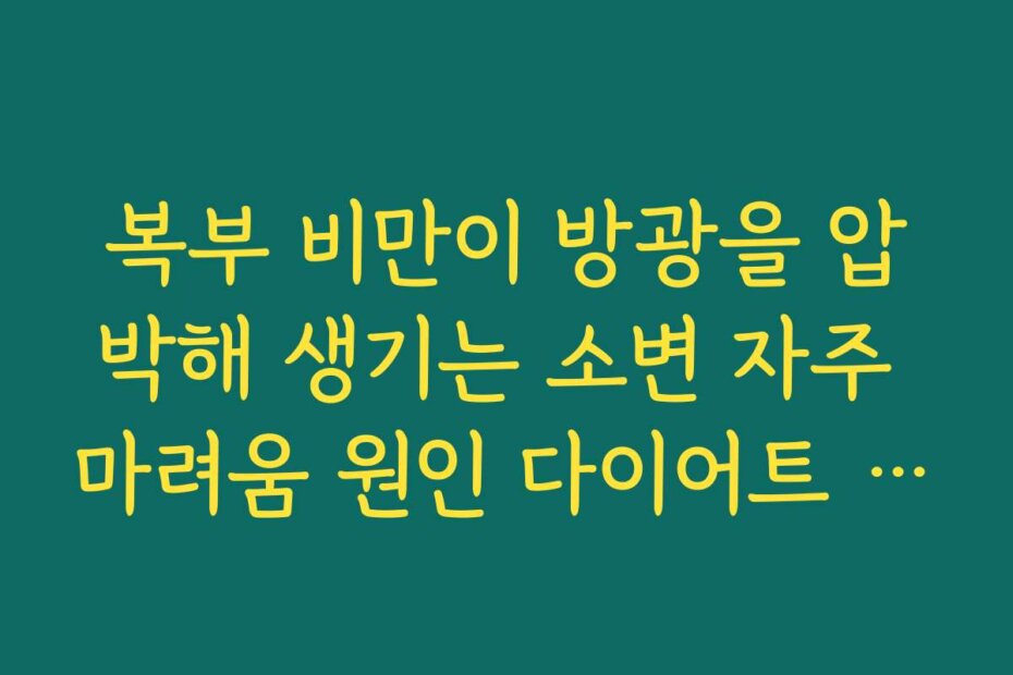 복부 비만이 방광을 압박해 생기는 소변 자주 마려움 원인 다이어트 효과