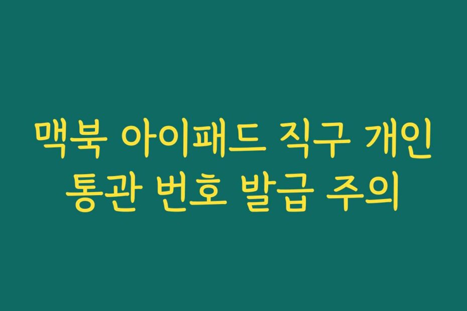 맥북 아이패드 직구 개인통관 번호 발급 주의