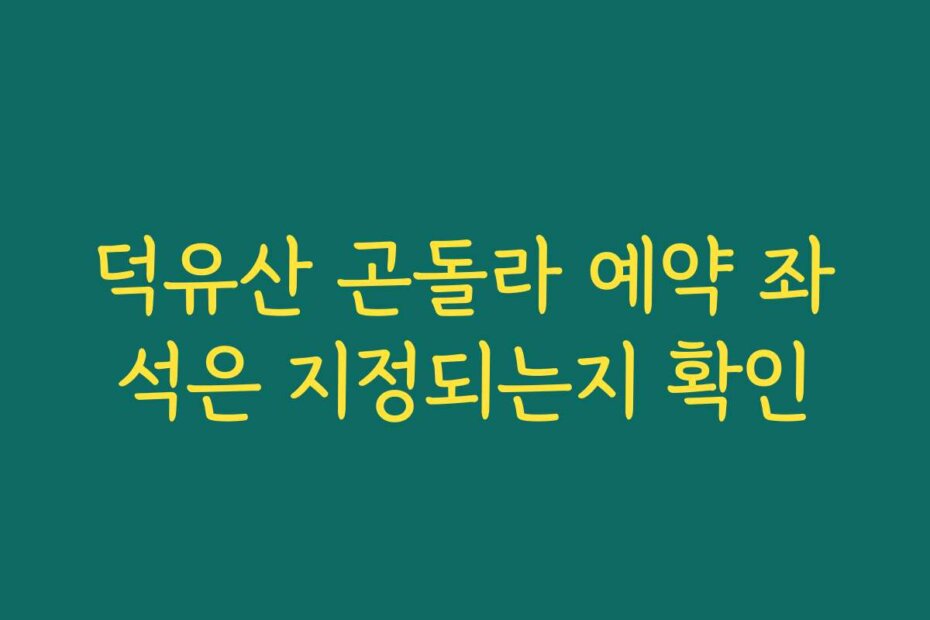 덕유산 곤돌라 예약 좌석은 지정되는지 확인