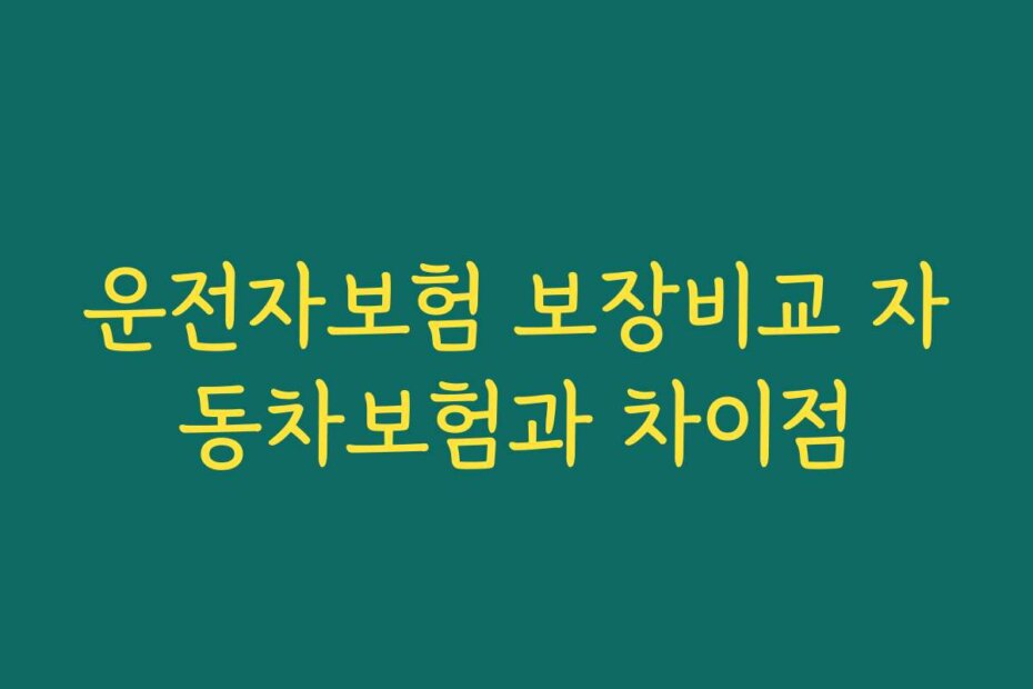 운전자보험 보장비교 자동차보험과 차이점