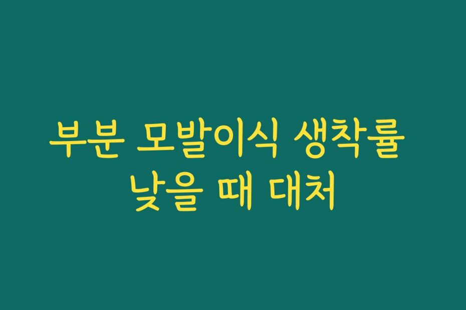 부분 모발이식 생착률 낮을 때 대처