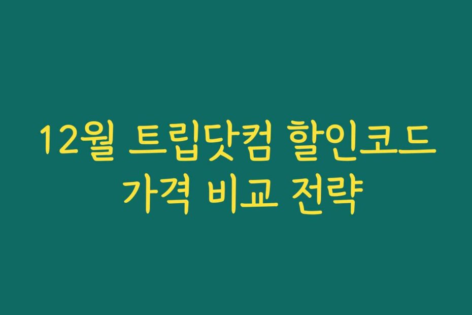 12월 트립닷컴 할인코드 가격 비교 전략