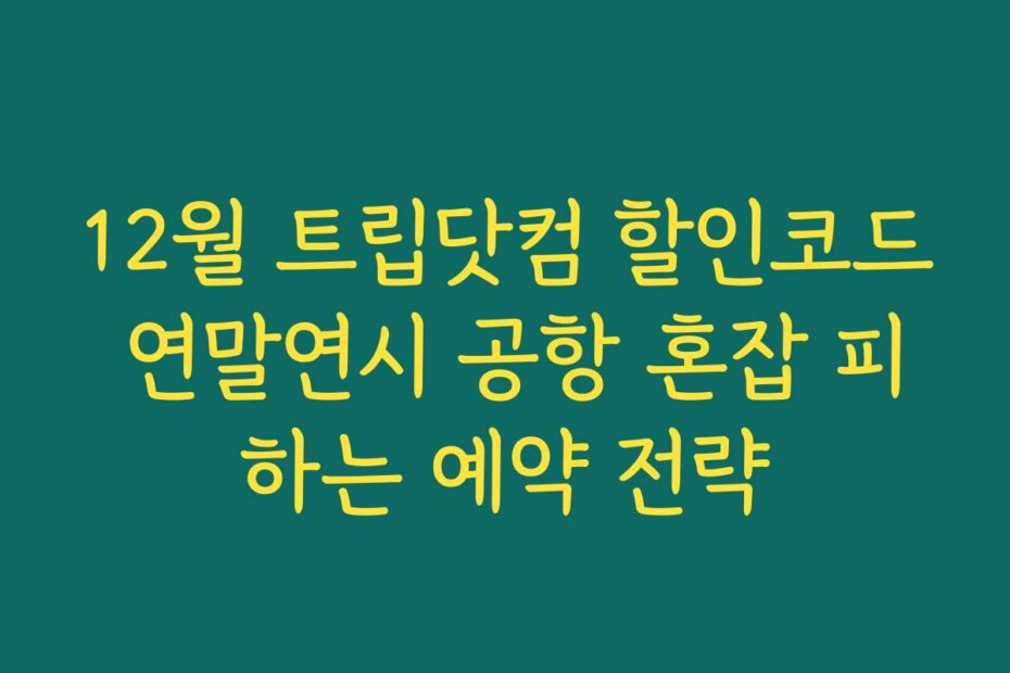 12월 트립닷컴 할인코드 연말연시 공항 혼잡 피하는 예약 전략
