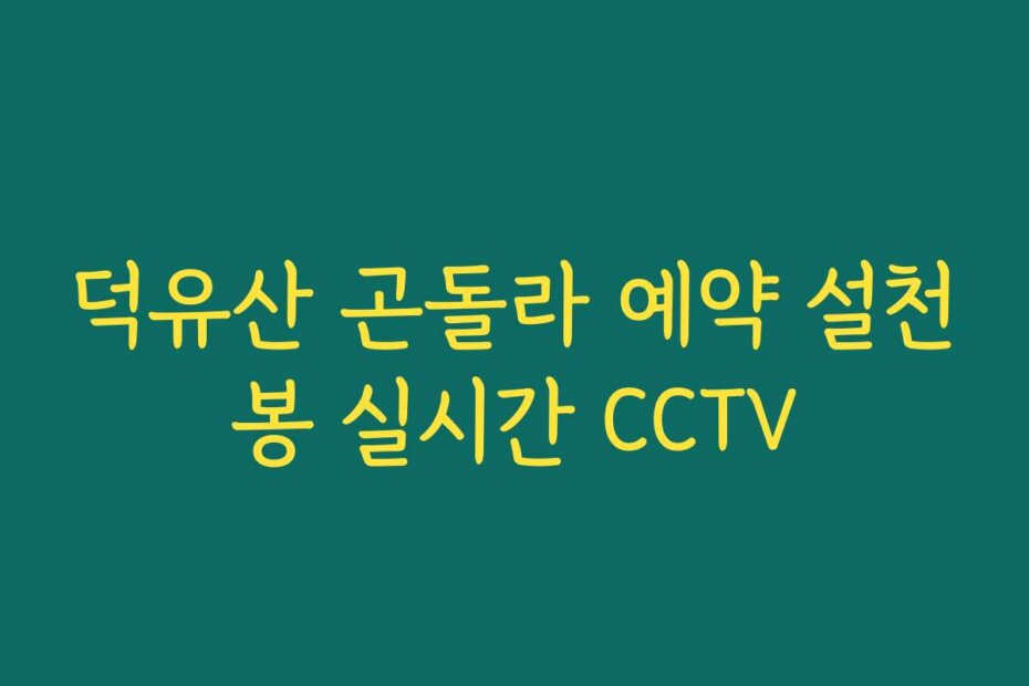덕유산 곤돌라 예약 설천봉 실시간 CCTV