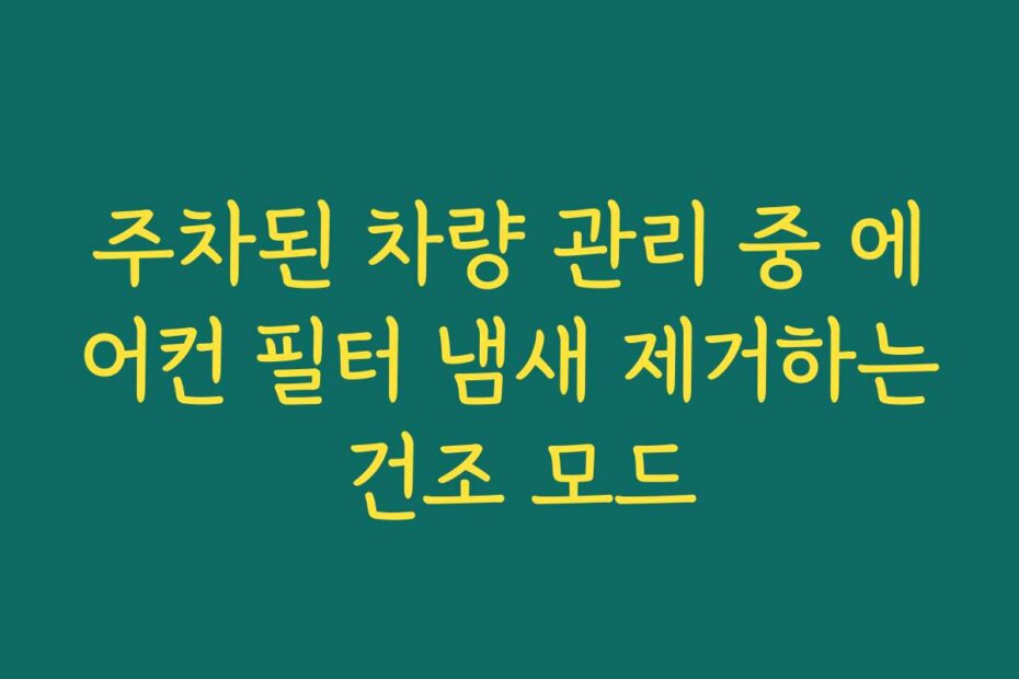 주차된 차량 관리 중 에어컨 필터 냄새 제거하는 건조 모드