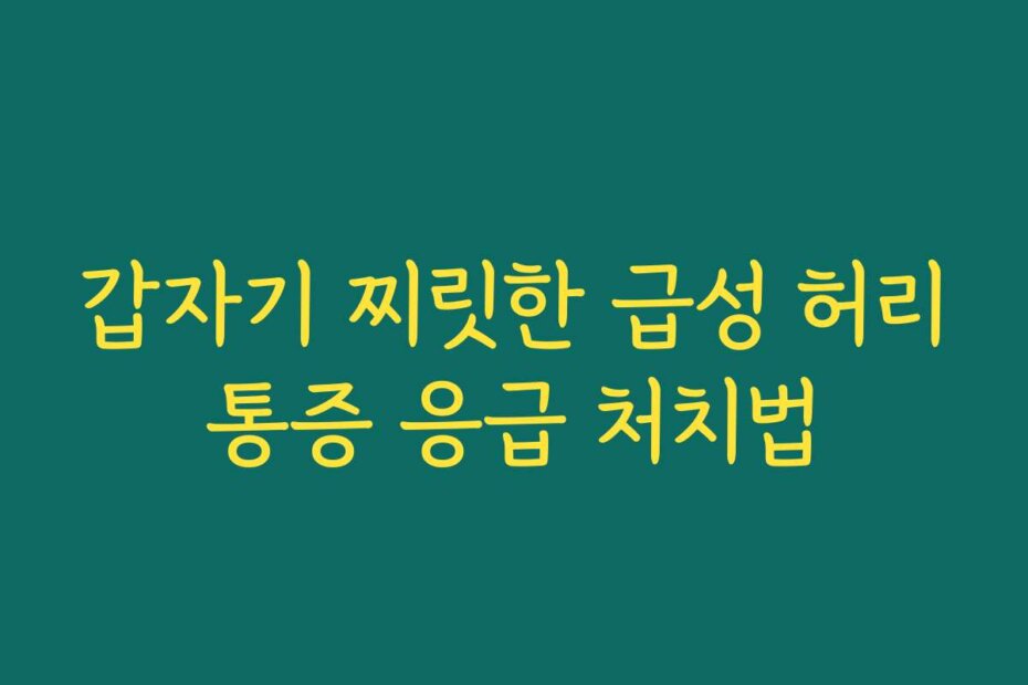 갑자기 찌릿한 급성 허리통증 응급 처치법