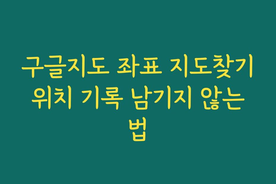 구글지도 좌표 지도찾기 위치 기록 남기지 않는 법