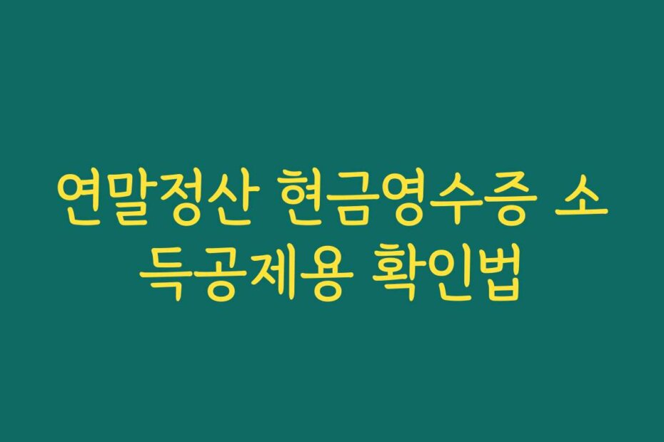 연말정산 현금영수증 소득공제용 확인법
