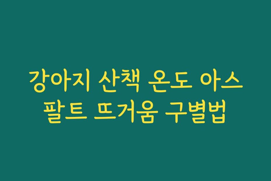 강아지 산책 온도 아스팔트 뜨거움 구별법