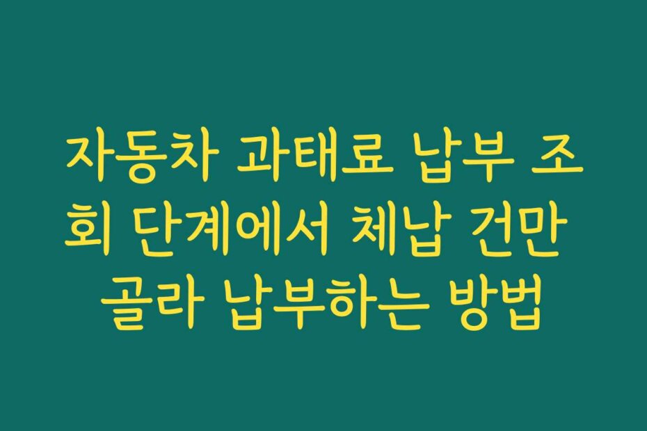 자동차 과태료 납부 조회 단계에서 체납 건만 골라 납부하는 방법