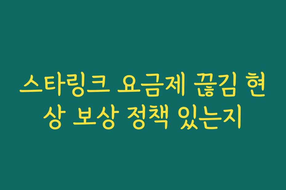 스타링크 요금제 끊김 현상 보상 정책 있는지