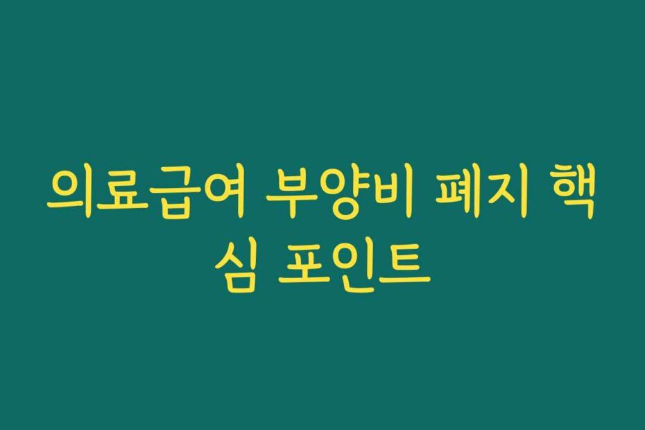 의료급여 부양비 폐지 핵심 포인트