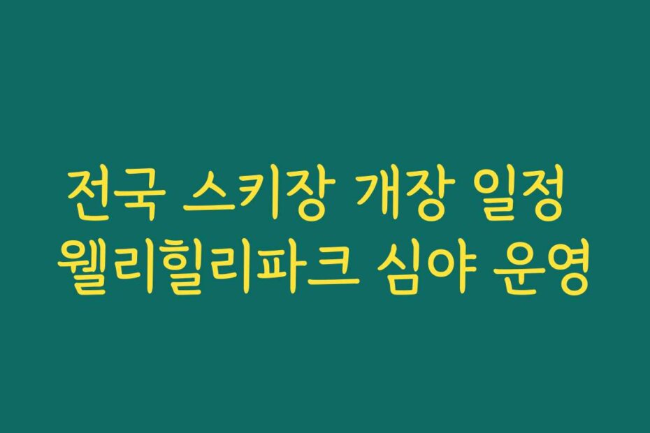 전국 스키장 개장 일정 웰리힐리파크 심야 운영