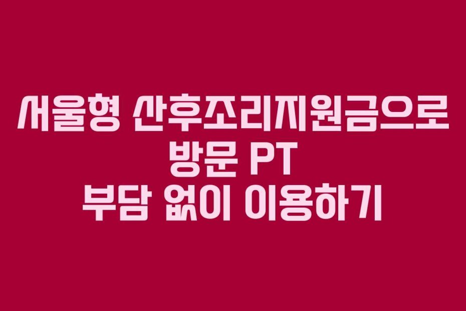서울형 산후조리지원금으로 방문 PT 부담 없이 이용하기